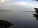 ./images/koeye/fitz-hugh/20200916/fitz-hugh20200916_085502.jpg