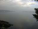 ./images/koeye/fitz-hugh/20200916/fitz-hugh20200916_090502.jpg