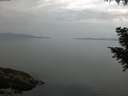 ./images/koeye/fitz-hugh/20200916/fitz-hugh20200916_091001.jpg