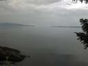 ./images/koeye/fitz-hugh/20200916/fitz-hugh20200916_091501.jpg