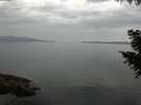./images/koeye/fitz-hugh/20200916/fitz-hugh20200916_094501.jpg