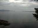 ./images/koeye/fitz-hugh/20200916/fitz-hugh20200916_095001.jpg