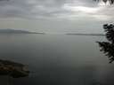 ./images/koeye/fitz-hugh/20200916/fitz-hugh20200916_095501.jpg