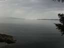 ./images/koeye/fitz-hugh/20200916/fitz-hugh20200916_100501.jpg