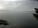 ./images/koeye/fitz-hugh/20200916/fitz-hugh20200916_101001.jpg