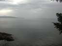 ./images/koeye/fitz-hugh/20200916/fitz-hugh20200916_101501.jpg