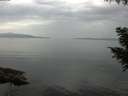 ./images/koeye/fitz-hugh/20200916/fitz-hugh20200916_102001.jpg