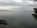 ./images/koeye/fitz-hugh/20200916/fitz-hugh20200916_102501.jpg