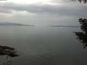 ./images/koeye/fitz-hugh/20200916/fitz-hugh20200916_104001.jpg