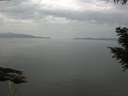 ./images/koeye/fitz-hugh/20200916/fitz-hugh20200916_104501.jpg