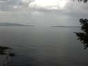 ./images/koeye/fitz-hugh/20200916/fitz-hugh20200916_110501.jpg