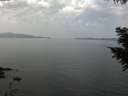 ./images/koeye/fitz-hugh/20200916/fitz-hugh20200916_112502.jpg