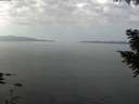 ./images/koeye/fitz-hugh/20200916/fitz-hugh20200916_114002.jpg