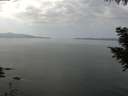 ./images/koeye/fitz-hugh/20200916/fitz-hugh20200916_114502.jpg