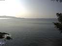 ./images/koeye/fitz-hugh/20200916/fitz-hugh20200916_153501.jpg