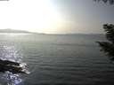 ./images/koeye/fitz-hugh/20200916/fitz-hugh20200916_160001.jpg