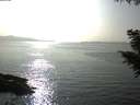 ./images/koeye/fitz-hugh/20200916/fitz-hugh20200916_164501.jpg