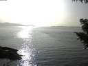 ./images/koeye/fitz-hugh/20200916/fitz-hugh20200916_165001.jpg