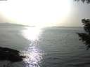 ./images/koeye/fitz-hugh/20200916/fitz-hugh20200916_170501.jpg