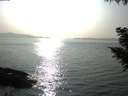 ./images/koeye/fitz-hugh/20200916/fitz-hugh20200916_171001.jpg