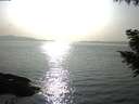 ./images/koeye/fitz-hugh/20200916/fitz-hugh20200916_171501.jpg