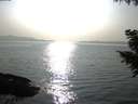./images/koeye/fitz-hugh/20200916/fitz-hugh20200916_172502.jpg