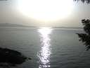 ./images/koeye/fitz-hugh/20200916/fitz-hugh20200916_174002.jpg