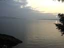 ./images/koeye/fitz-hugh/20200916/fitz-hugh20200916_192001.jpg