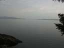 ./images/koeye/fitz-hugh/20200916/fitz-hugh20200916_194501.jpg