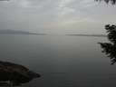 ./images/koeye/fitz-hugh/20200916/fitz-hugh20200916_195501.jpg