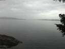 ./images/koeye/fitz-hugh/20200916/fitz-hugh20200916_201502.jpg