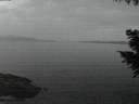 ./images/koeye/fitz-hugh/20200916/fitz-hugh20200916_202002.jpg