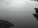 ./images/koeye/fitz-hugh/20200917/fitz-hugh20200917_063501.jpg