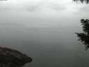 ./images/koeye/fitz-hugh/20200917/fitz-hugh20200917_064001.jpg