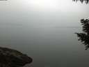./images/koeye/fitz-hugh/20200917/fitz-hugh20200917_072501.jpg