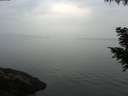 ./images/koeye/fitz-hugh/20200917/fitz-hugh20200917_080501.jpg