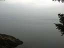 ./images/koeye/fitz-hugh/20200917/fitz-hugh20200917_084002.jpg