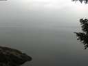./images/koeye/fitz-hugh/20200917/fitz-hugh20200917_084502.jpg