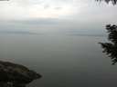./images/koeye/fitz-hugh/20200917/fitz-hugh20200917_092002.jpg