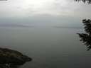 ./images/koeye/fitz-hugh/20200917/fitz-hugh20200917_092501.jpg
