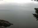 ./images/koeye/fitz-hugh/20200917/fitz-hugh20200917_094501.jpg