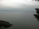 ./images/koeye/fitz-hugh/20200917/fitz-hugh20200917_095001.jpg