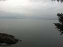 ./images/koeye/fitz-hugh/20200917/fitz-hugh20200917_095501.jpg