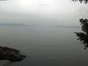 ./images/koeye/fitz-hugh/20200917/fitz-hugh20200917_100501.jpg