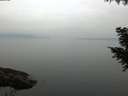 ./images/koeye/fitz-hugh/20200917/fitz-hugh20200917_101001.jpg
