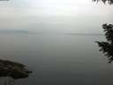 ./images/koeye/fitz-hugh/20200917/fitz-hugh20200917_101501.jpg