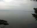 ./images/koeye/fitz-hugh/20200917/fitz-hugh20200917_104501.jpg