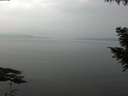 ./images/koeye/fitz-hugh/20200917/fitz-hugh20200917_111501.jpg