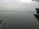 ./images/koeye/fitz-hugh/20200917/fitz-hugh20200917_120502.jpg