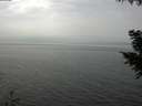 ./images/koeye/fitz-hugh/20200917/fitz-hugh20200917_130501.jpg
